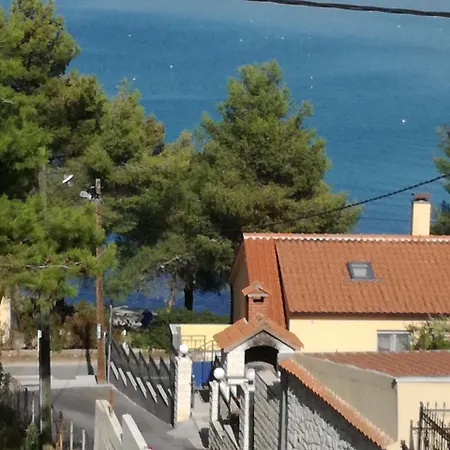 Laura * Trogir